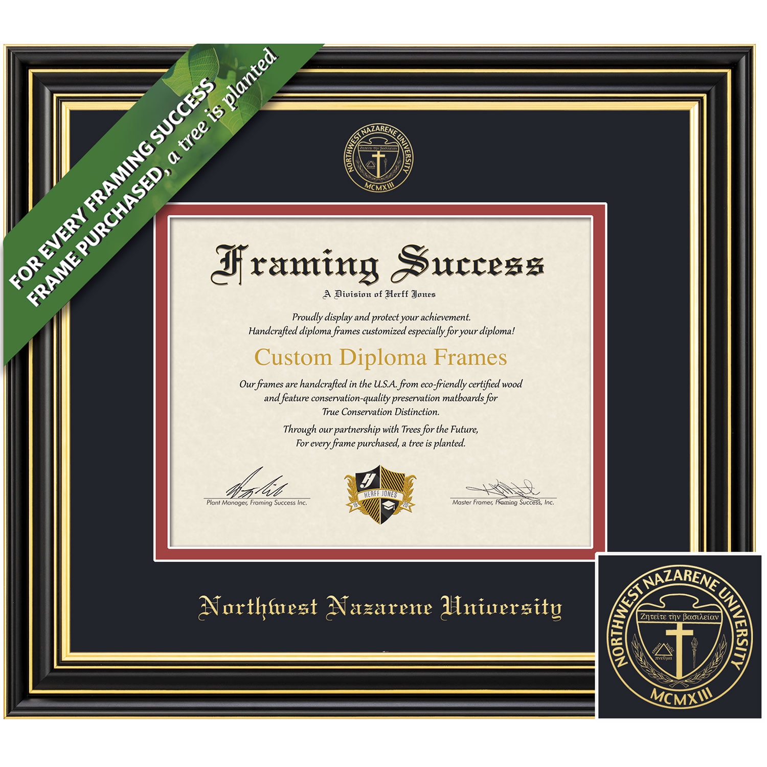 Framing Success 7 x 9 Prestige Gold Embossed School Seal Bachelors Diploma Frame