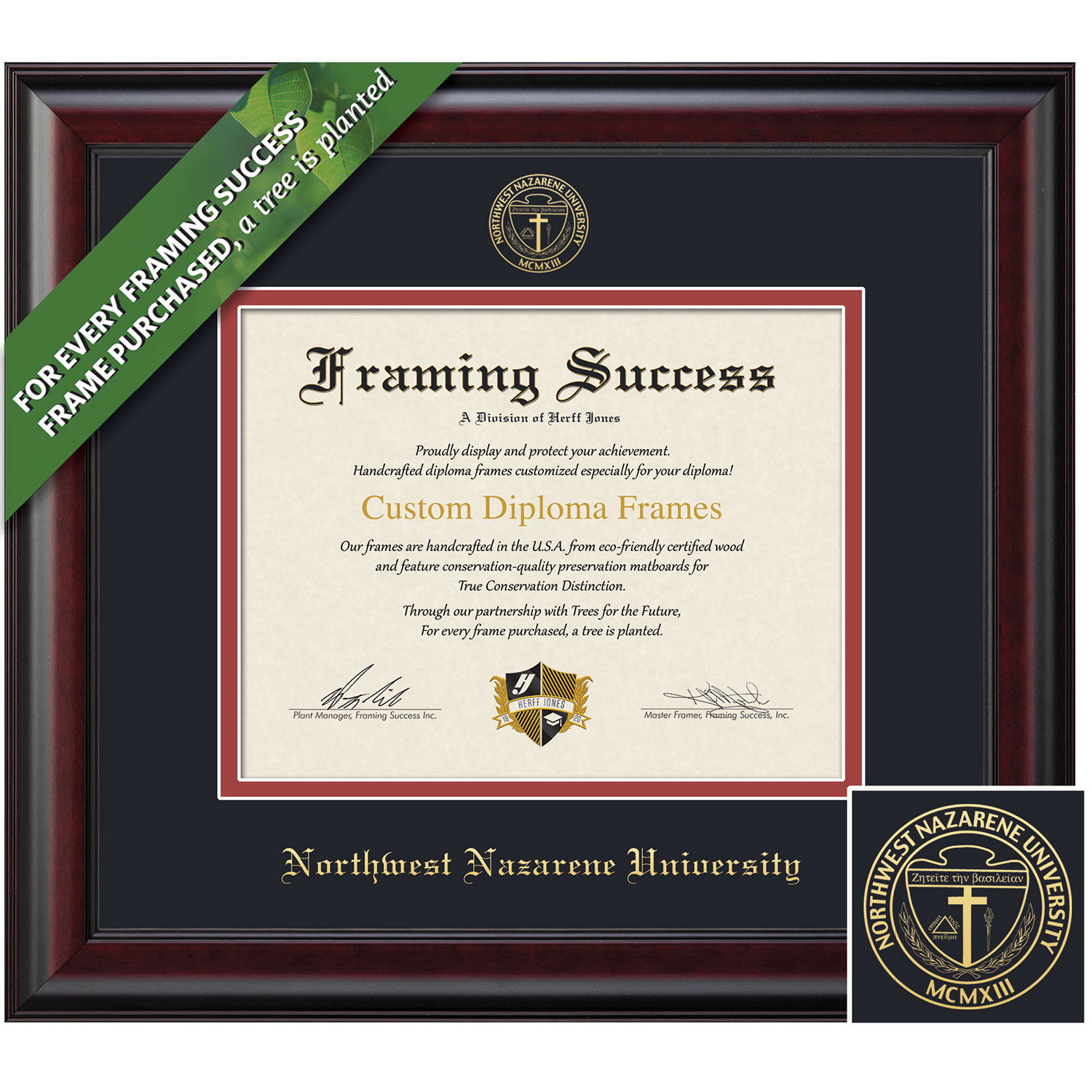 Framing Success 7 x 9 Classic Gold Embossed School Seal Bachelors Diploma Frame