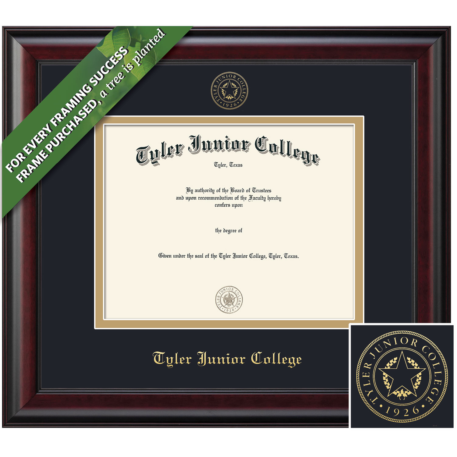 Framing Success 7 x 9 Classic Gold Embossed School Seal Associates Diploma Frame