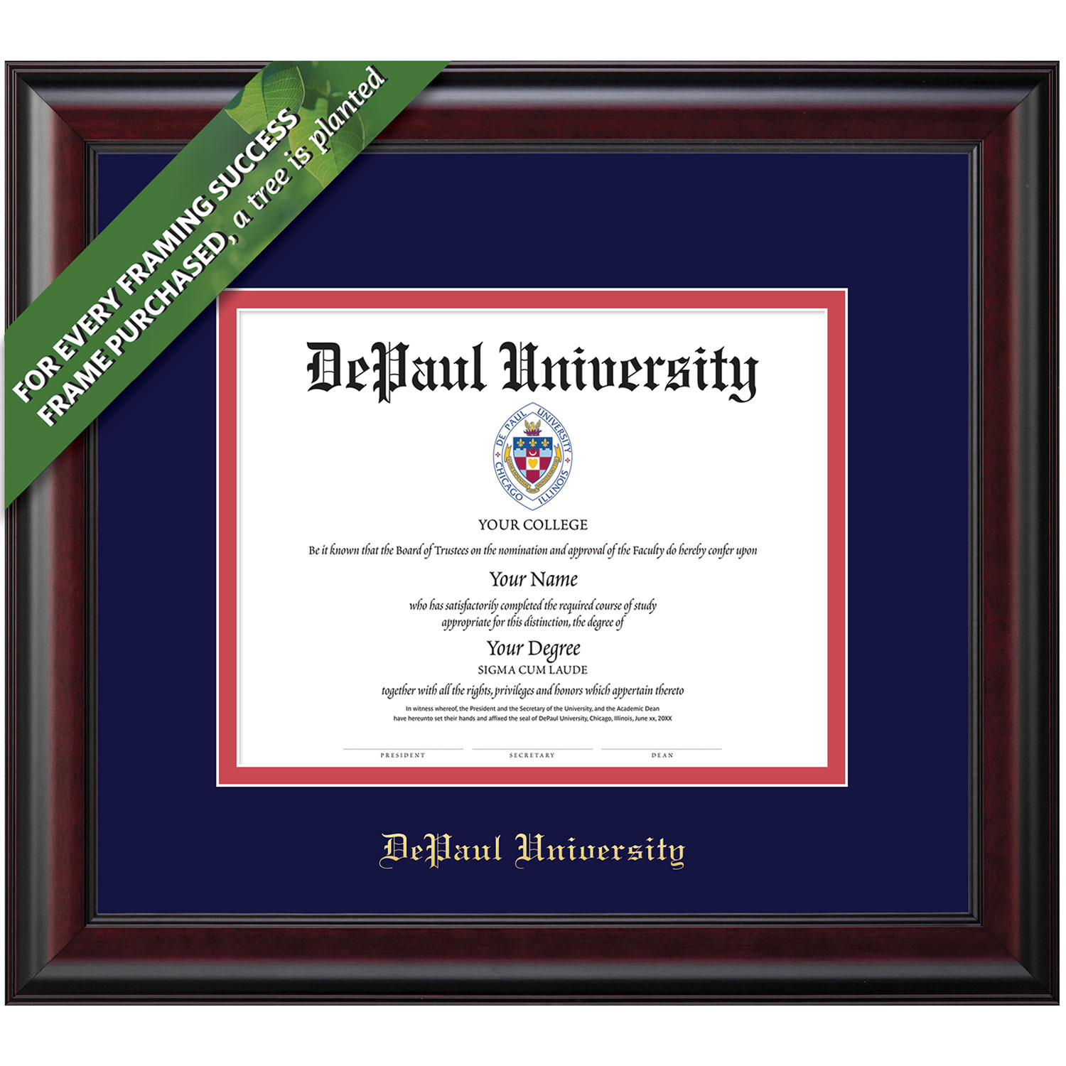 Framing Success 8.5 x 11 Classic GoldEmbossed School Name Bachelors, Masters Diploma Frame