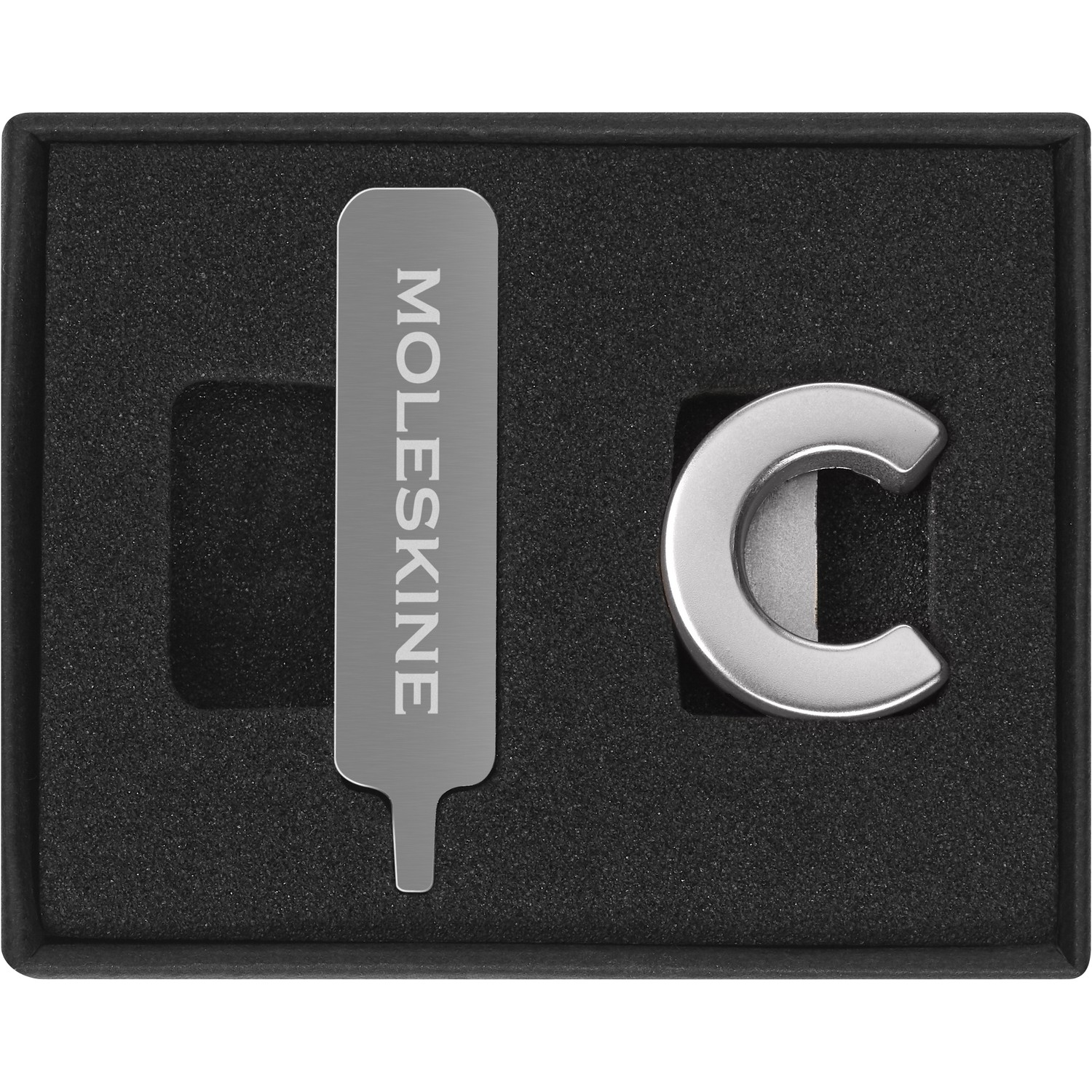 MOLESKINE PINS C SILVER