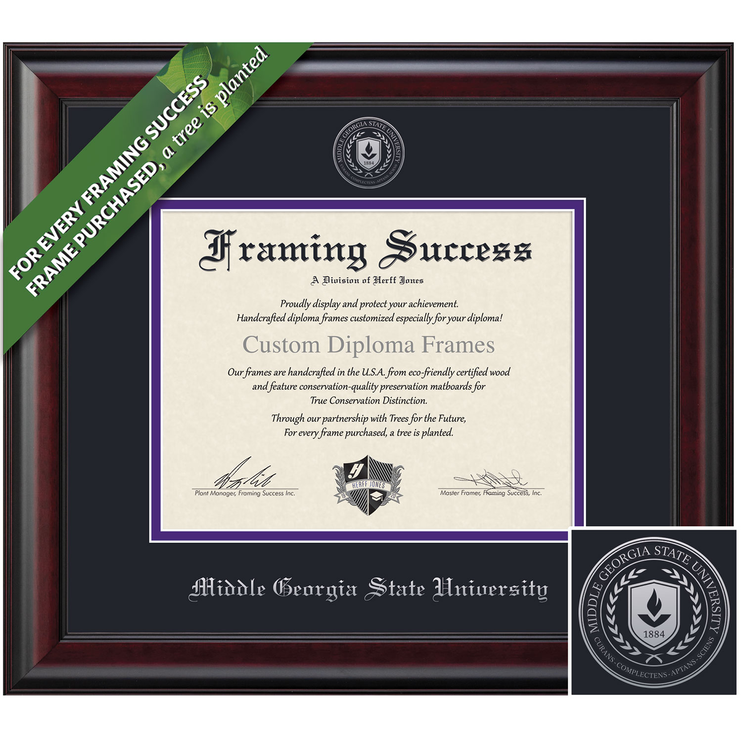 Framing Success 8 1/2 x 11 Classic Silver Embossed School Seal Associates, Bachelors Diploma Frame