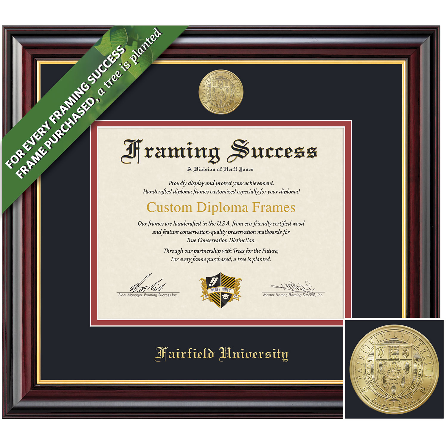 Framing Success 11 x 14 Windsor Gold Medallion Doctorate Diploma Frame