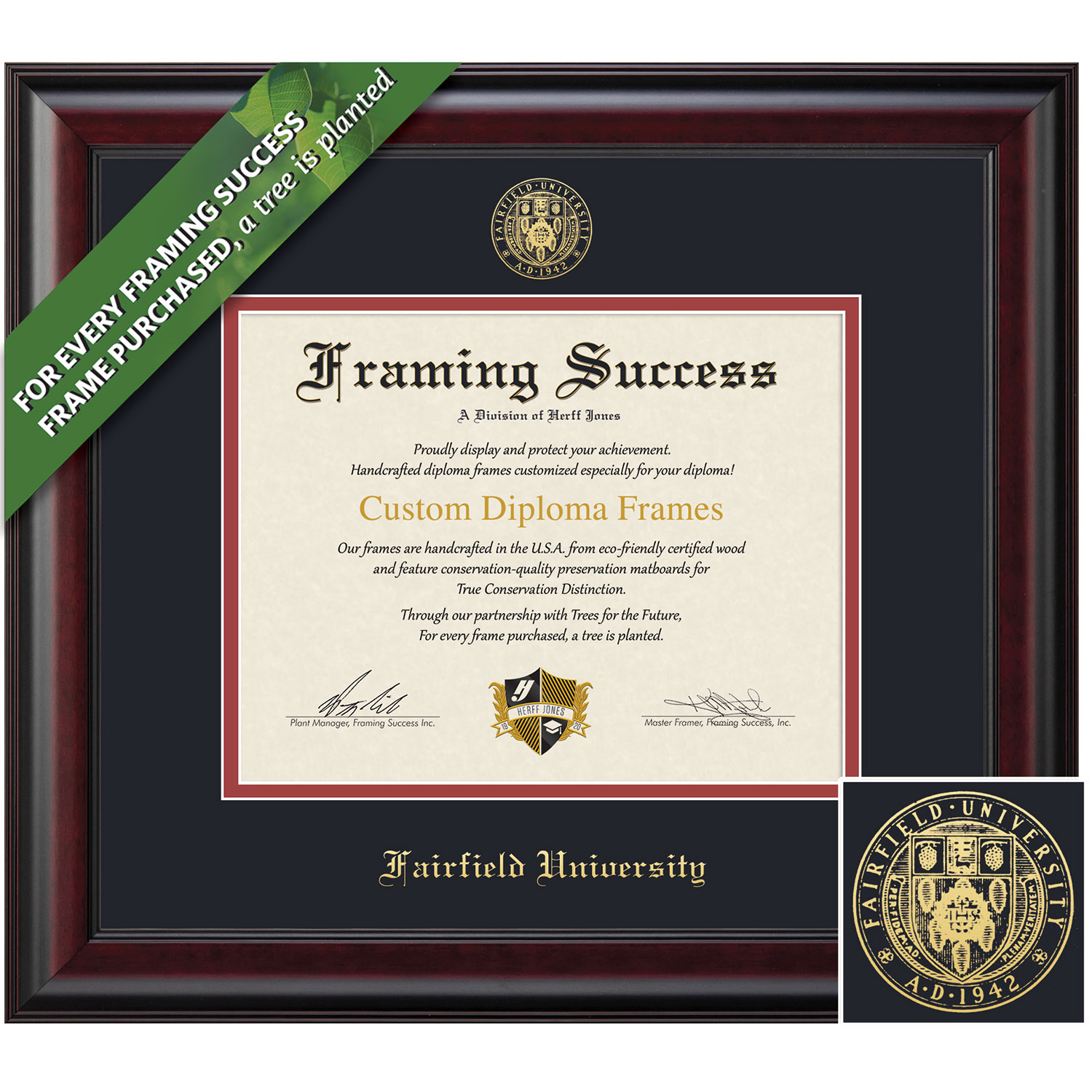 Framing Success 8.5 x 11 Classic Gold Embossed School Seal Bachelors, Masters Diploma Frame