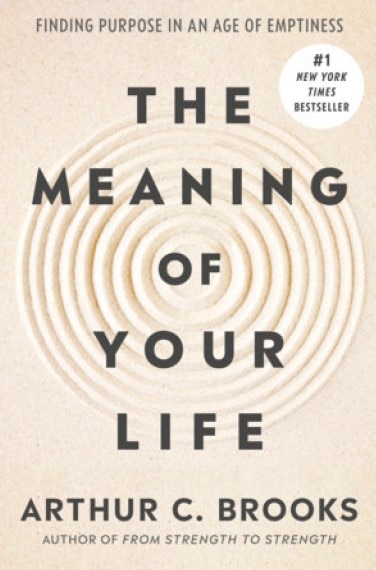The Meaning of Your Life: Finding Purpose in an Age of Emptiness