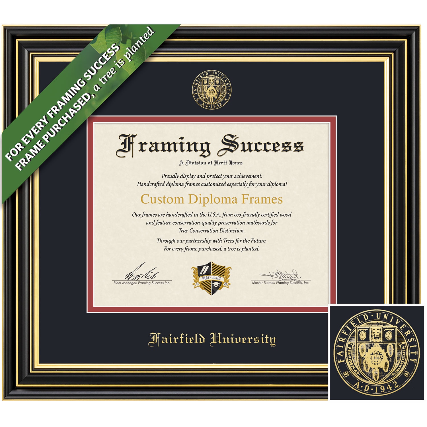 Framing Success 8.5 x 11 Prestige Gold Embossed School Seal Bachelors, Masters Diploma Frame