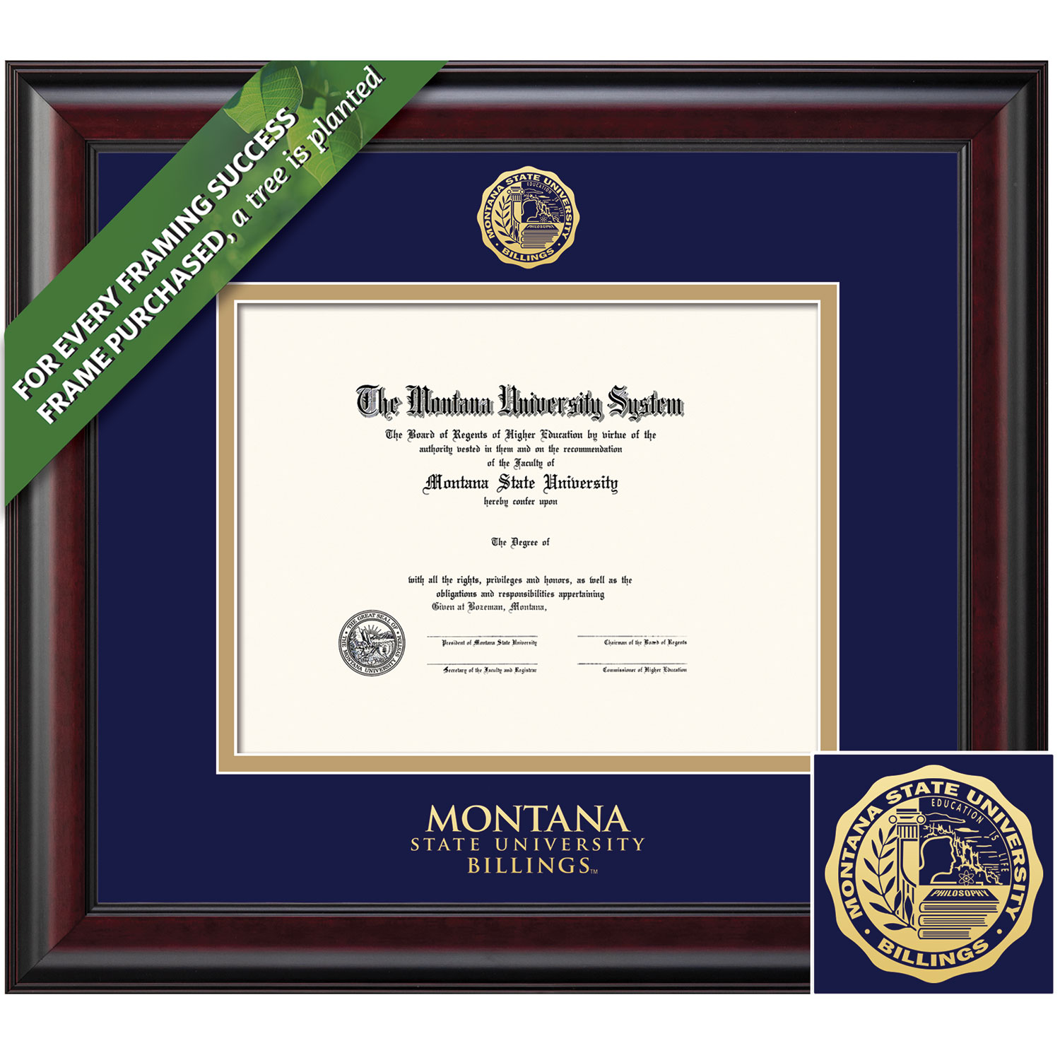 Framing Success 6 x 8 Classic Gold Embossed School Seal Associates, Bachelors, Masters Diploma Frame