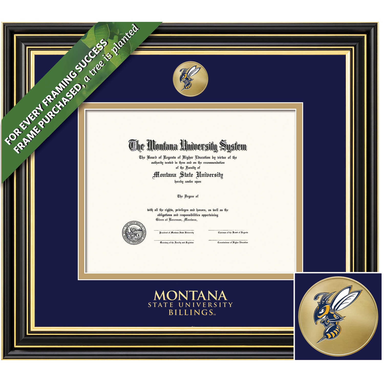 Framing Success 6 x 8 Prestige Gold Medallion Associates, Bachelors, Masters Diploma Frame