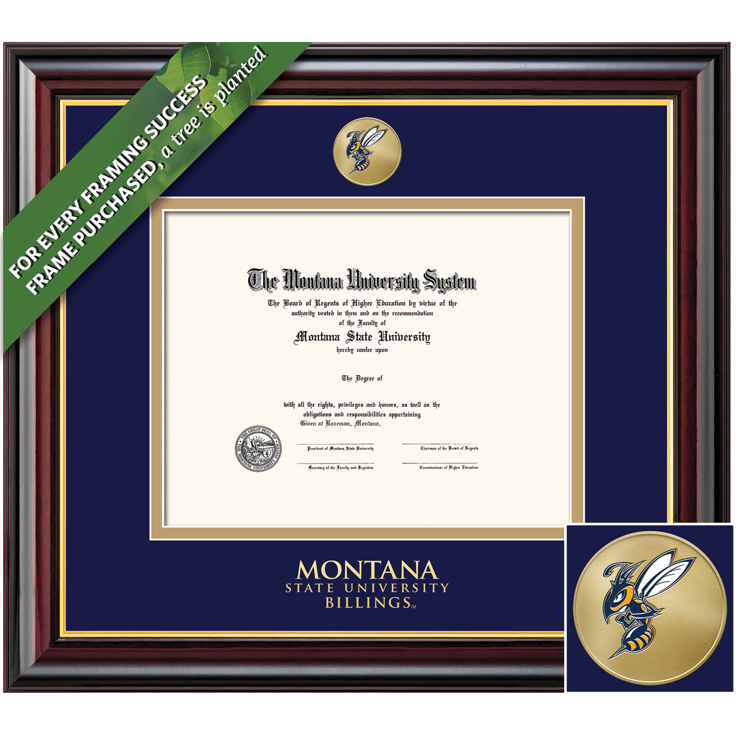 Framing Success 6 x 8 Windsor Gold Medallion Associates, Bachelors, Masters Diploma Frame