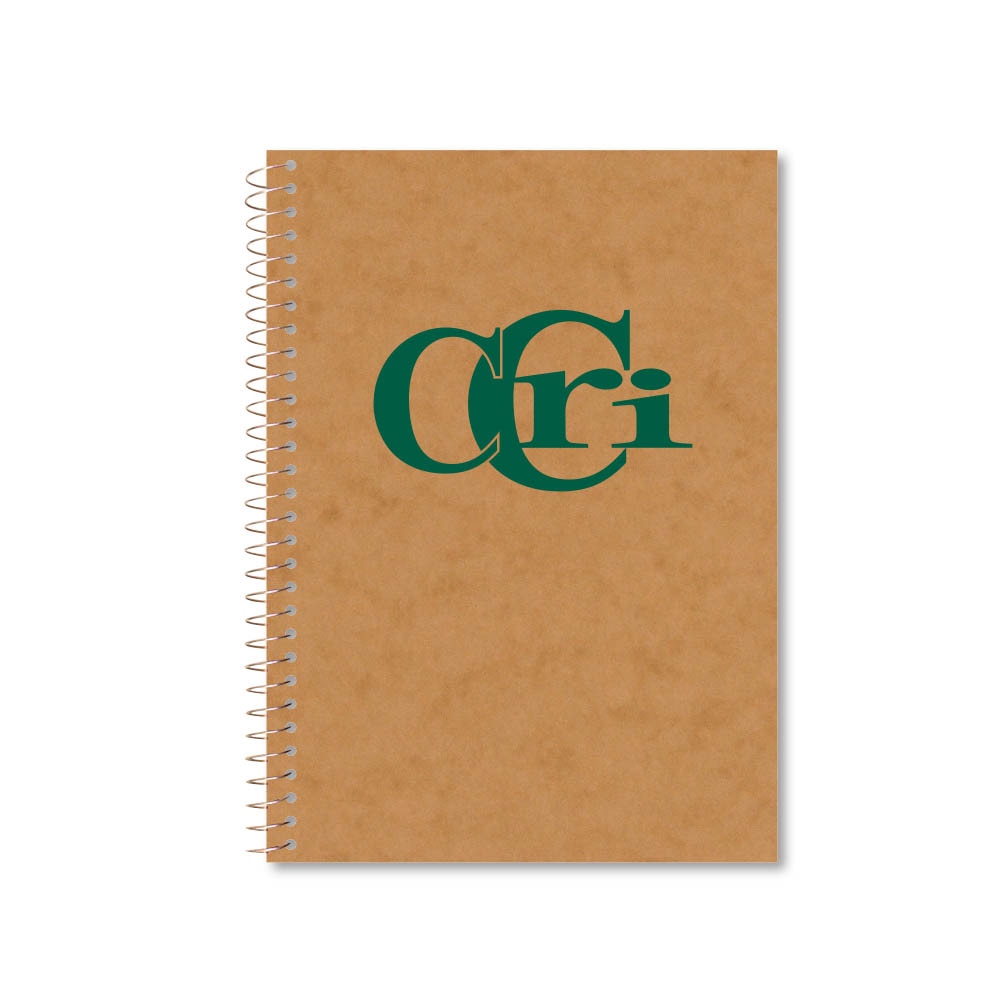 Roaring Premium 3 Subject 9.5 x 6.5 Notebook, College Ruled 20lb Paper, Pressboard Foil Cover