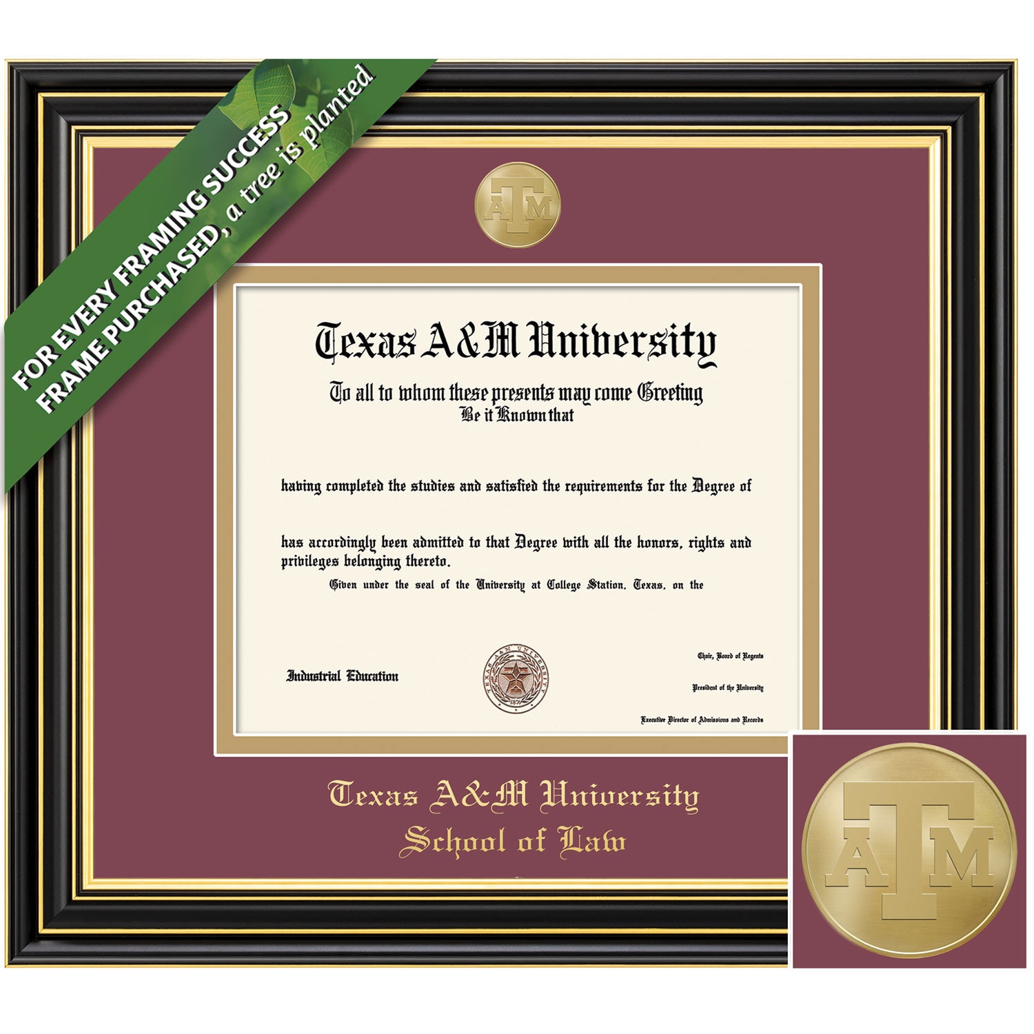 Framing Success 12 x 16 Prestige Gold Medallion Law Diploma Frame