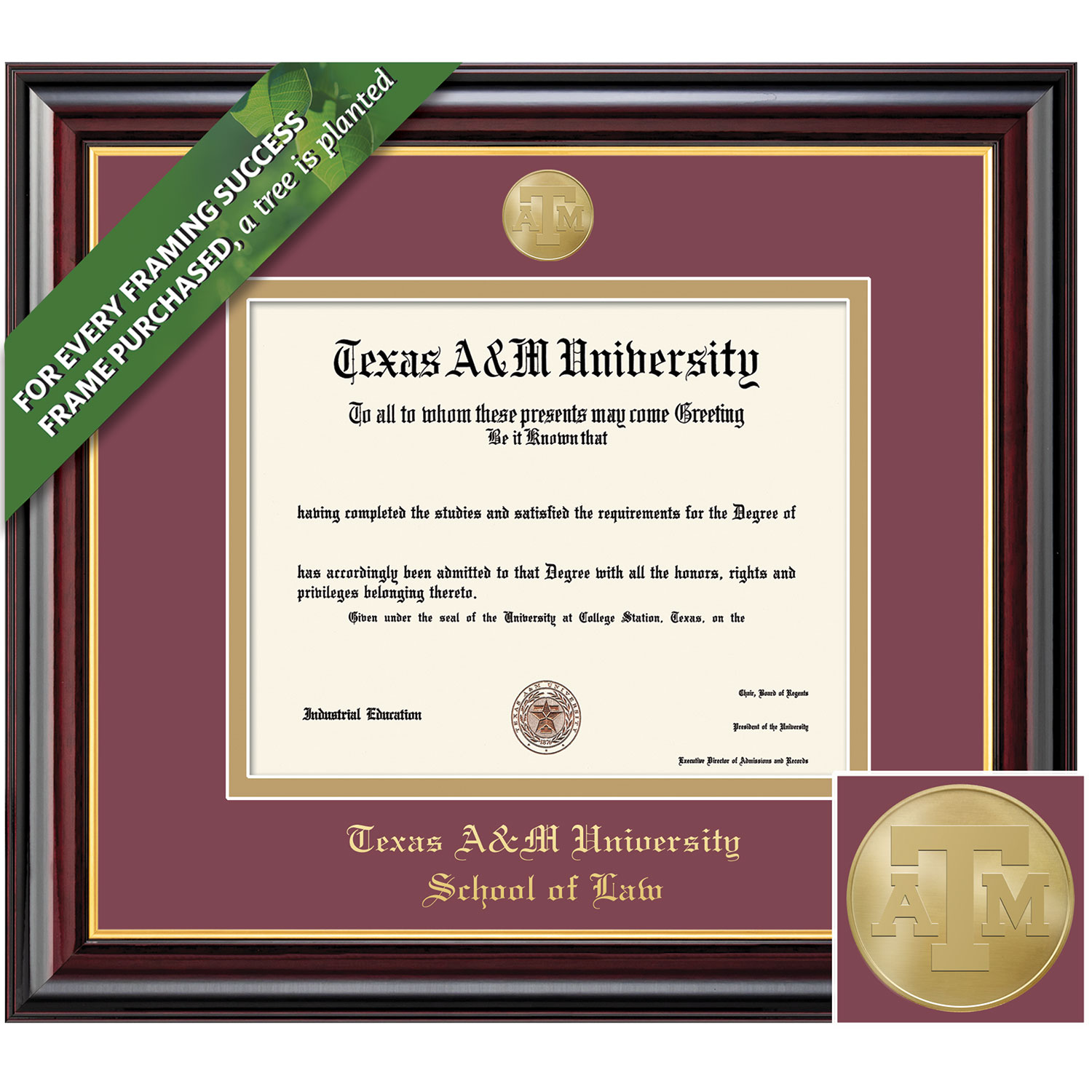 Framing Success 12 x 16 Windsor Gold Medallion Law Diploma Frame