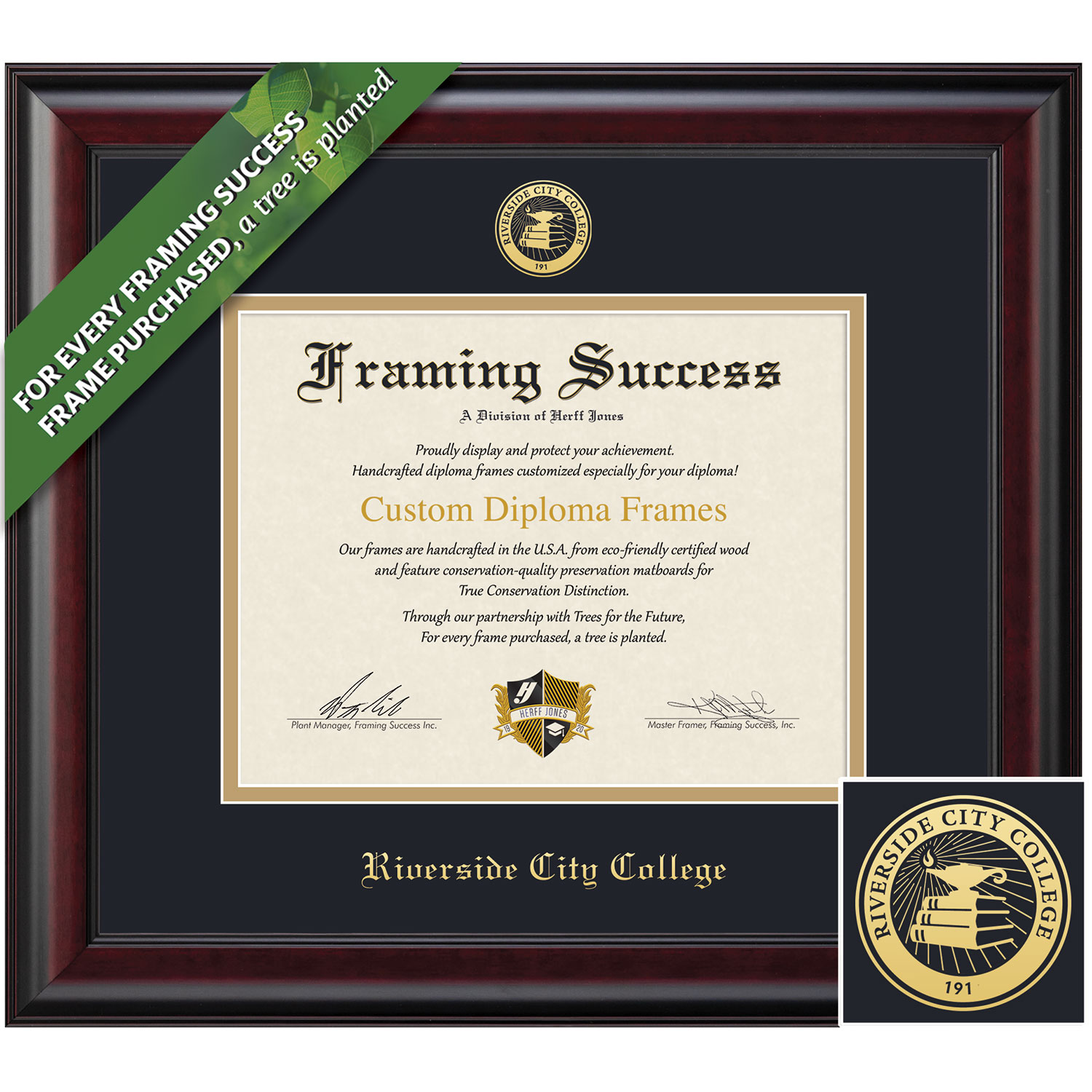 Framing Success 7 x 9 Classic Gold Embossed School Seal Associates Diploma Frame