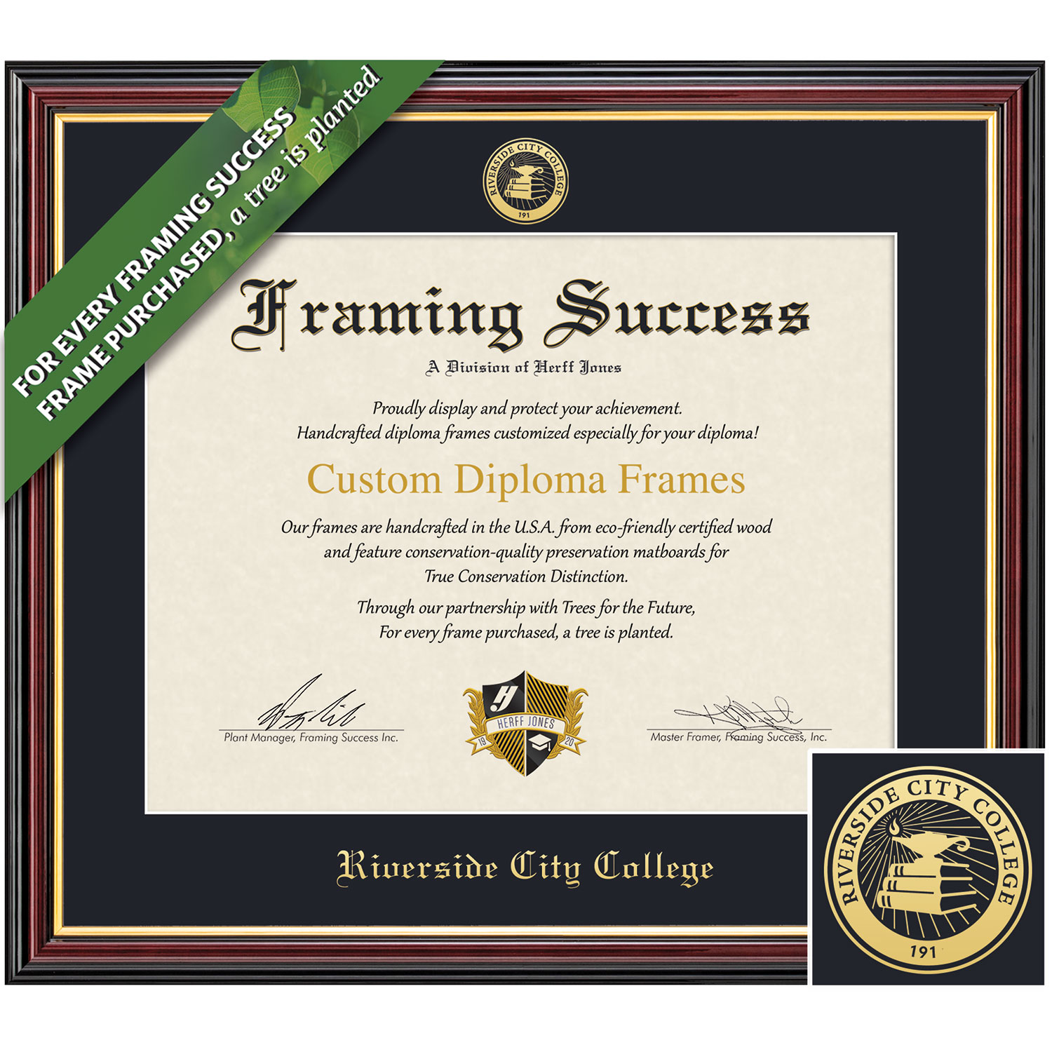 Framing Success 7 x 9 Academic Gold Embossed School Seal Associates Diploma Frame