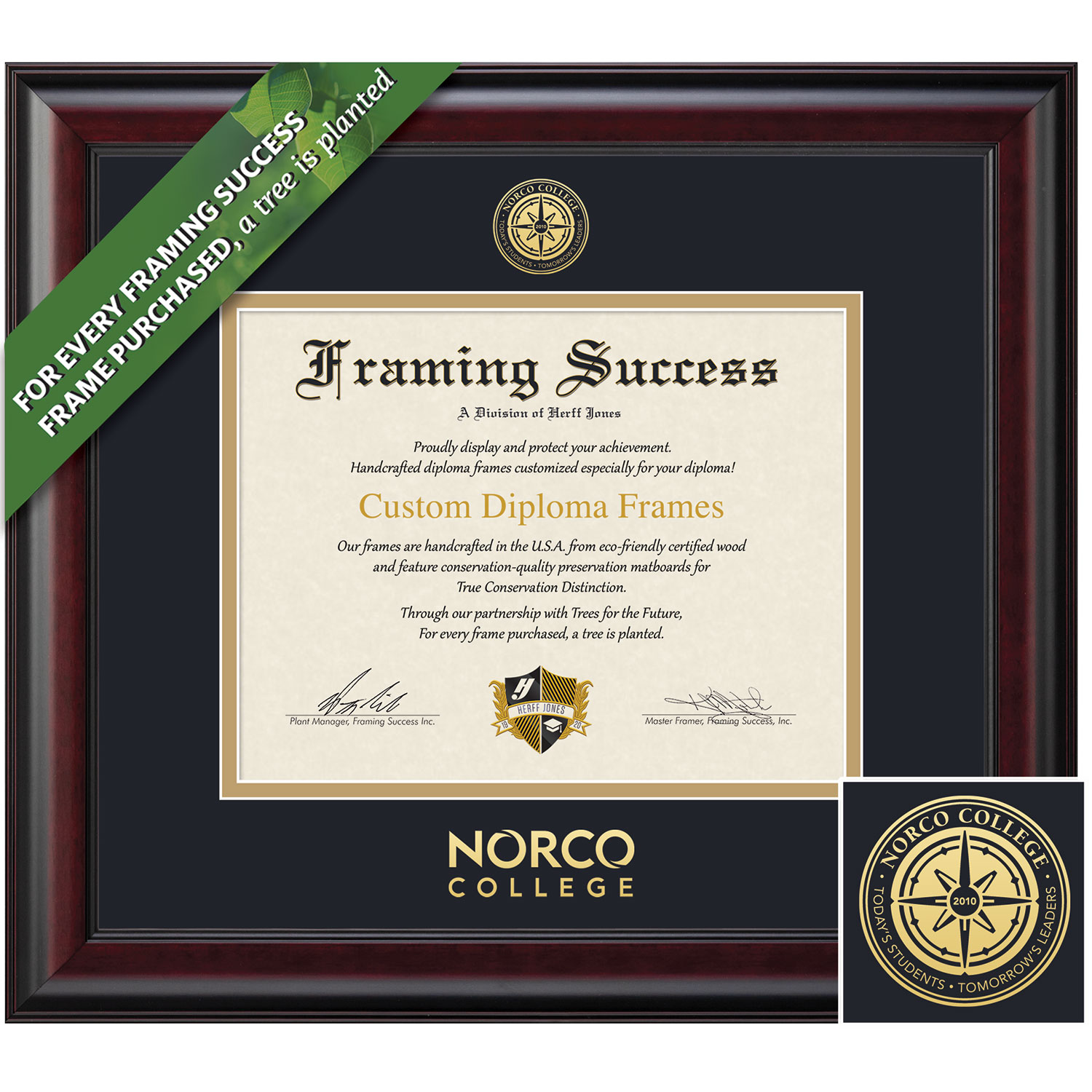 Framing Success 7 x 9 Classic Gold Embossed School Seal Associates Diploma Frame