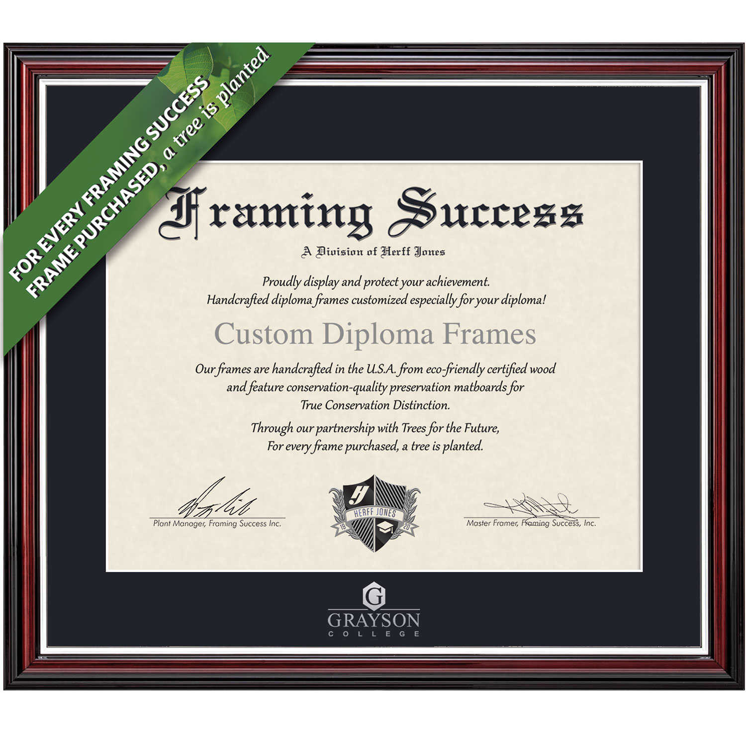 Framing Success 8 x 10 Scholastic Silver Embossed School Name Associates Diploma Frame
