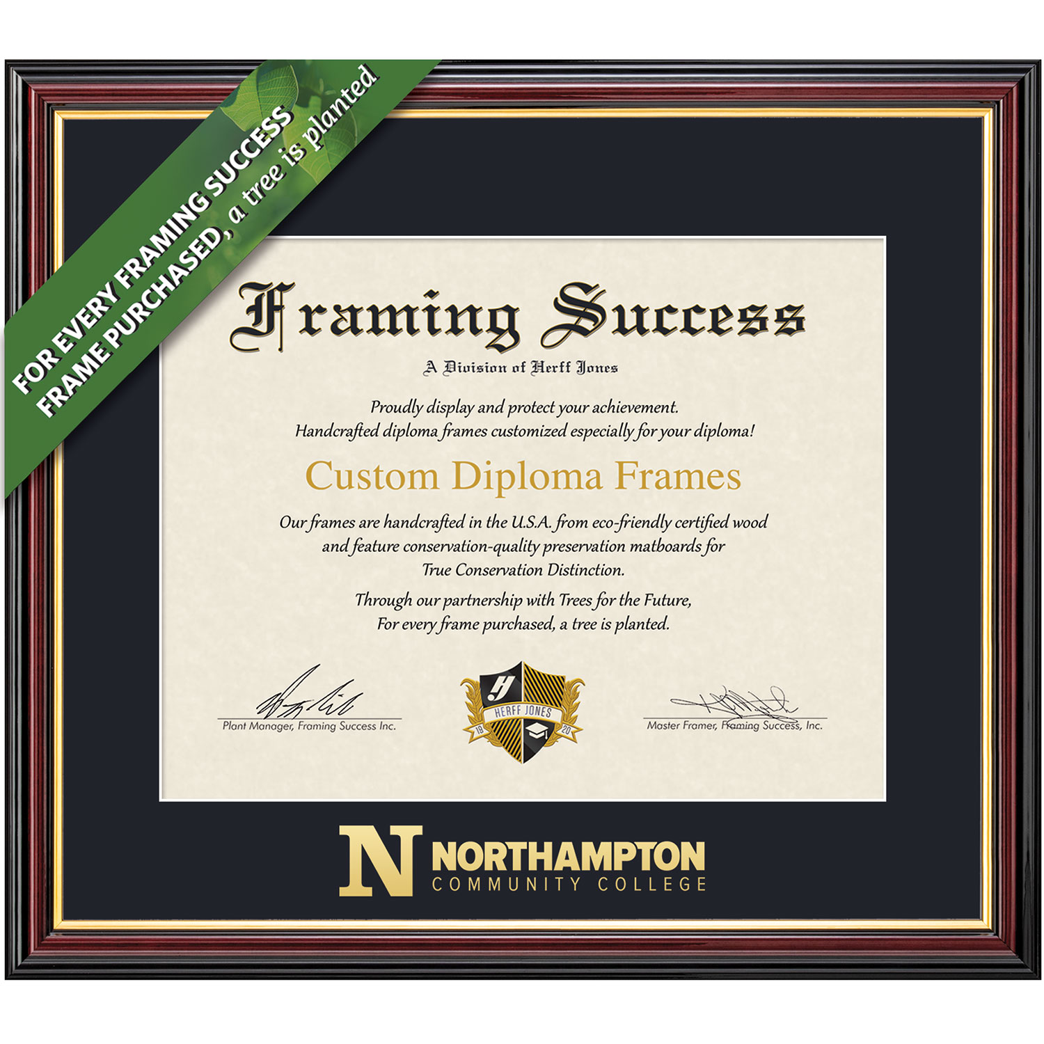 Framing Success 8.5 x 11 Academic Associates Diploma Frame