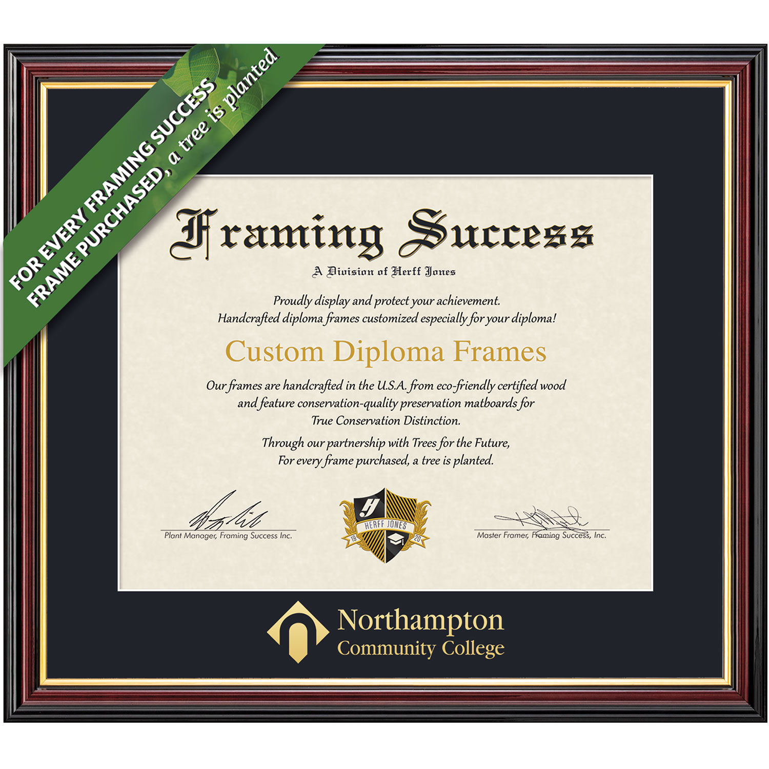 Framing Success 8.5 x 11 Academic Gold Embossed Name Associates Diploma Frame