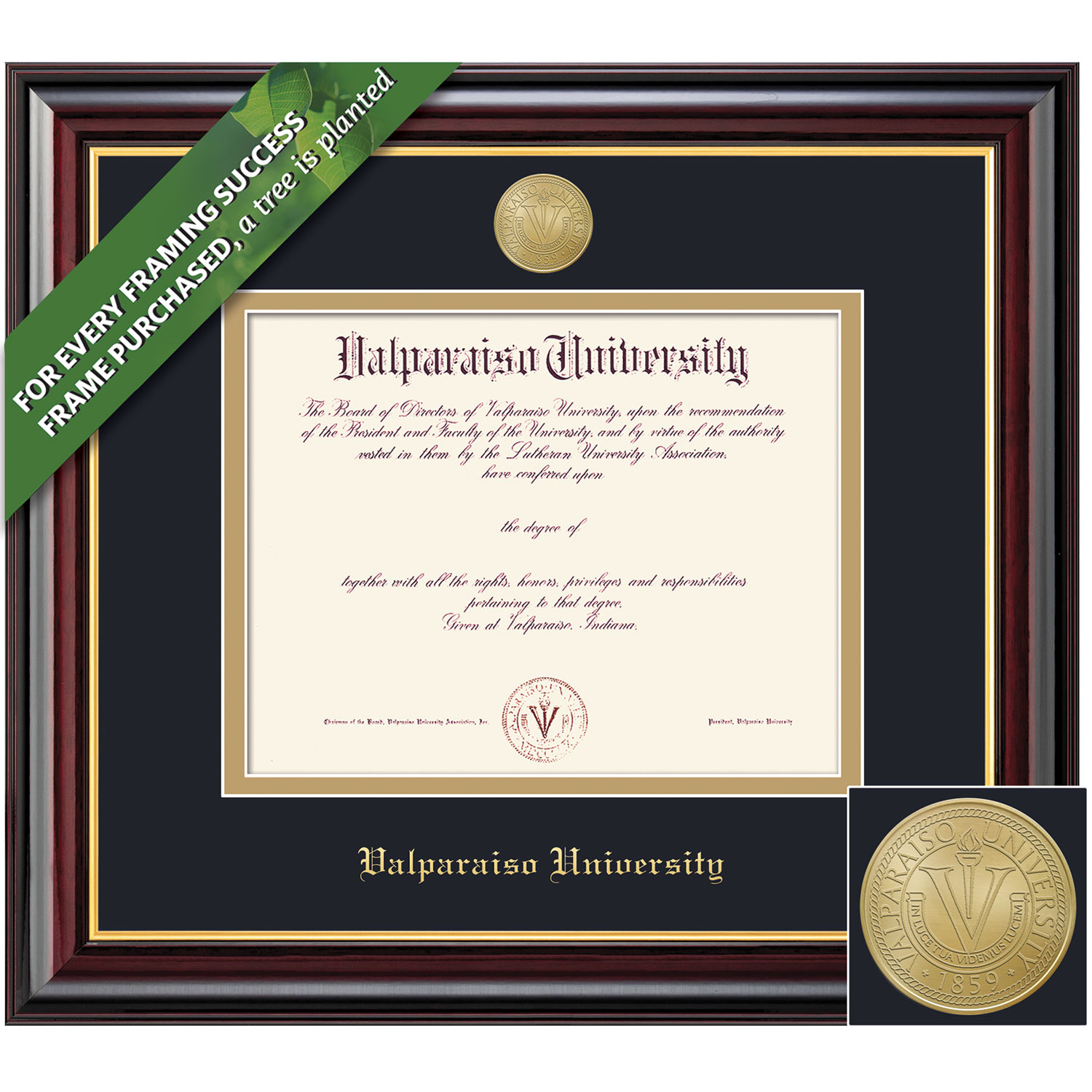 Framing Success 8 x 10 Windsor Gold Medallion Bachelors, Masters, Nursing Diploma Frame