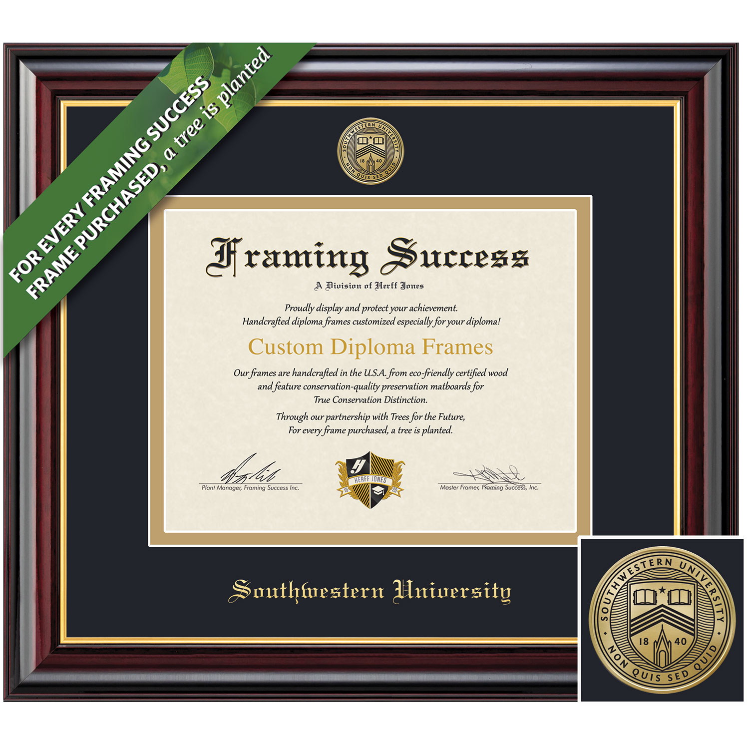 Framing Success 8.5 x 11 Windsor Gold Medallion Bachelors Diploma Frame