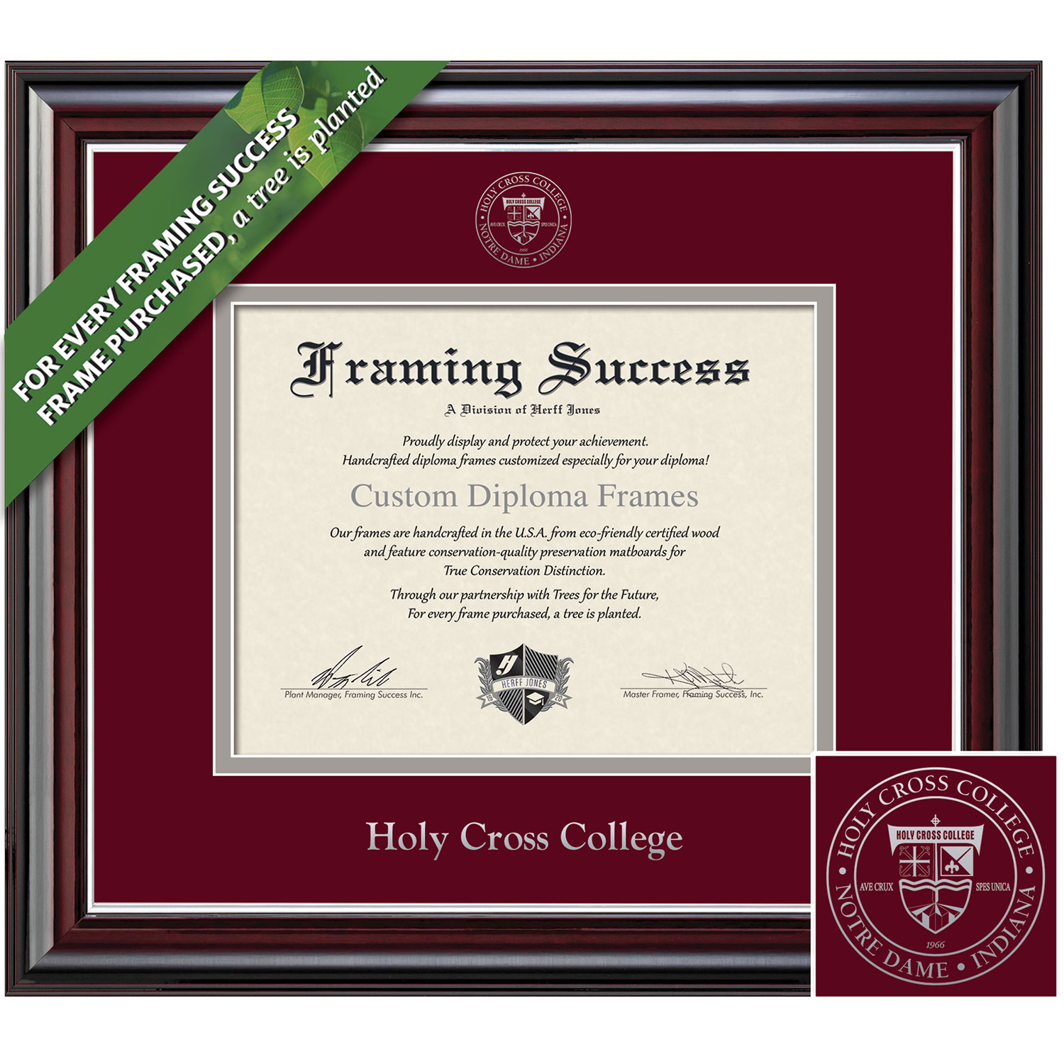 Framing Success 8.5 x 11 Jefferson Silver Embossed School Seal Bachelors Diploma Frame