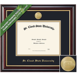 Framing Success 12 x 16 Windsor Gold Medallion Doctorate Diploma Frame