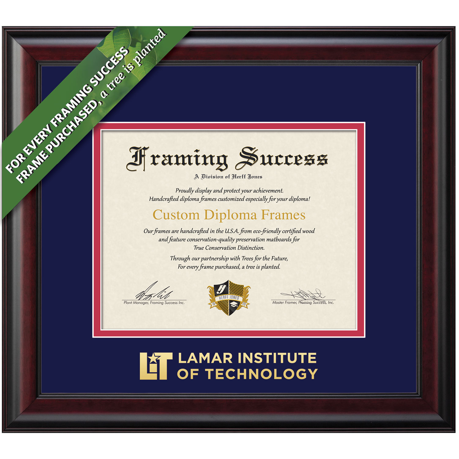 Framing Success 8 x 10 Classic Gold Embossed Institute Name Bachelors Diploma Frame
