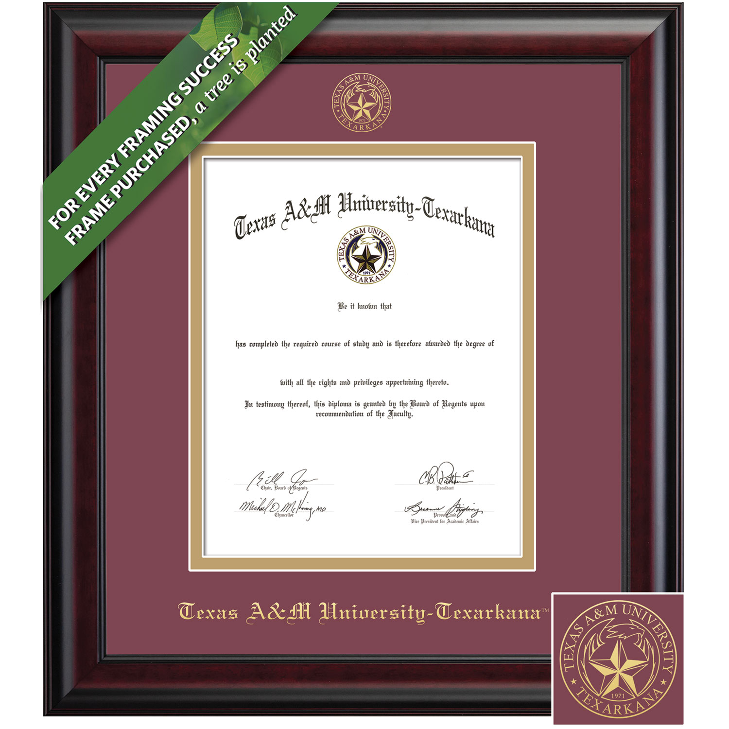 Framing Success 14 x 11 Classic Gold Embossed School Seal Bachelors, Masters Diploma Frame