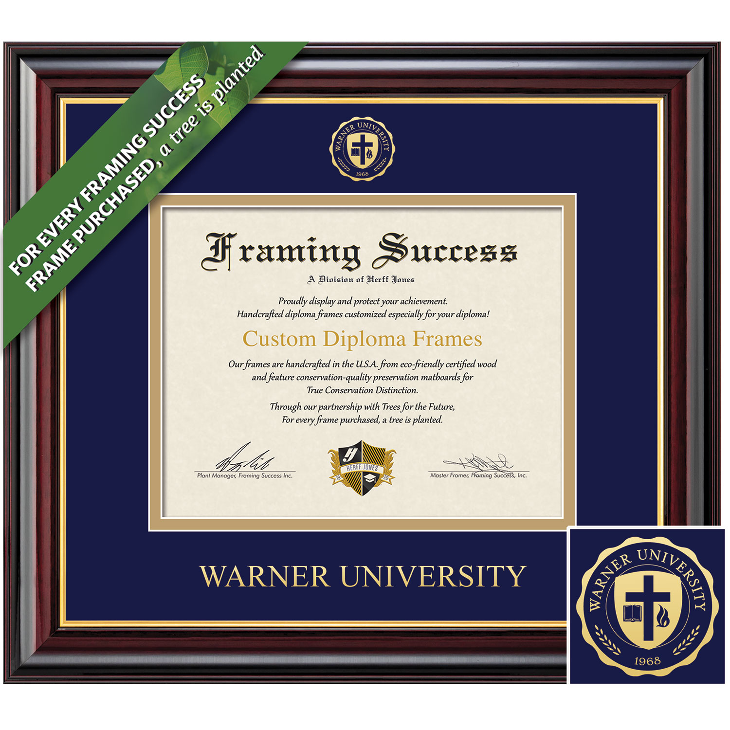 Framing Success 8.5 x 11 Windsor Gold Embossed School Seal Bachelors Diploma Frame
