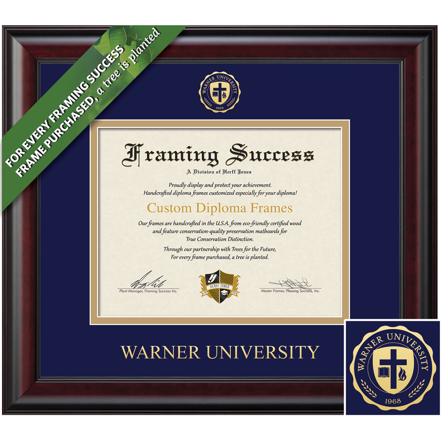 Framing Success 8.5 x 11 Classic Gold Embossed School Seal Bachelors Diploma Frame