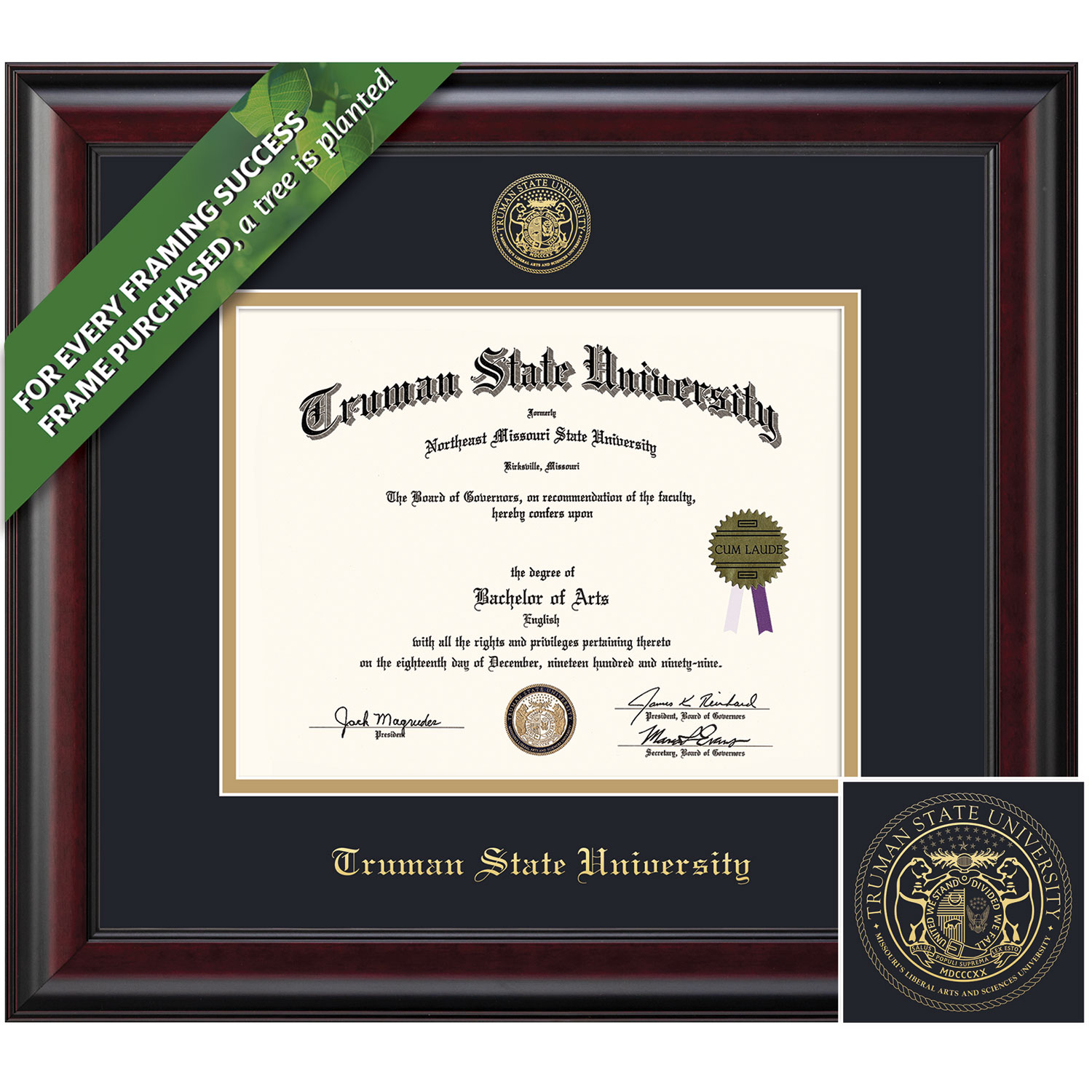 Framing Success 8.5 x 11 Classic Gold Embossed School Seal Bachelors, Masters Diploma Frame