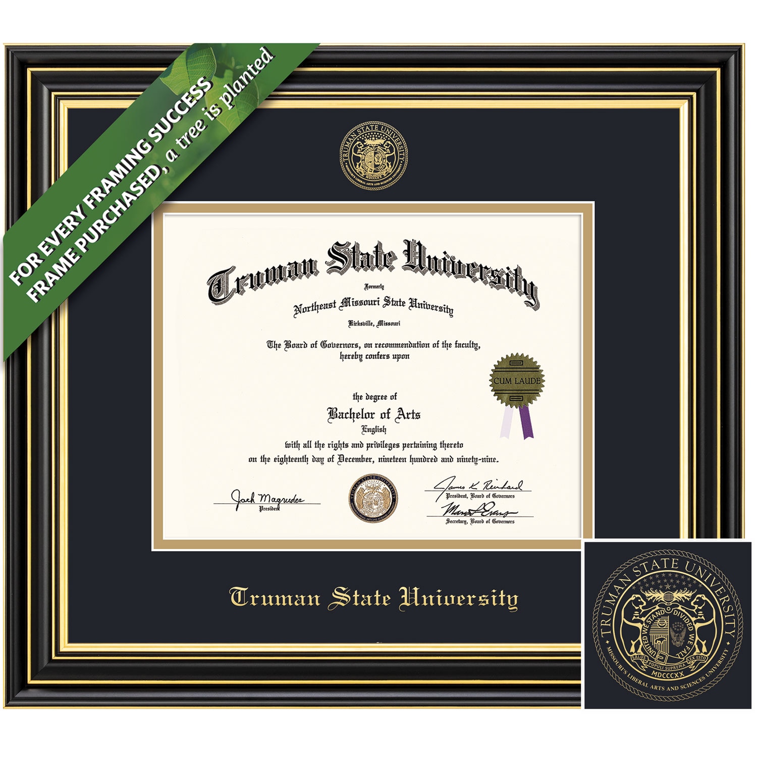 Framing Success 8.5 x 11 Prestige Gold Embossed School Seal Bachelors, Masters Diploma Frame