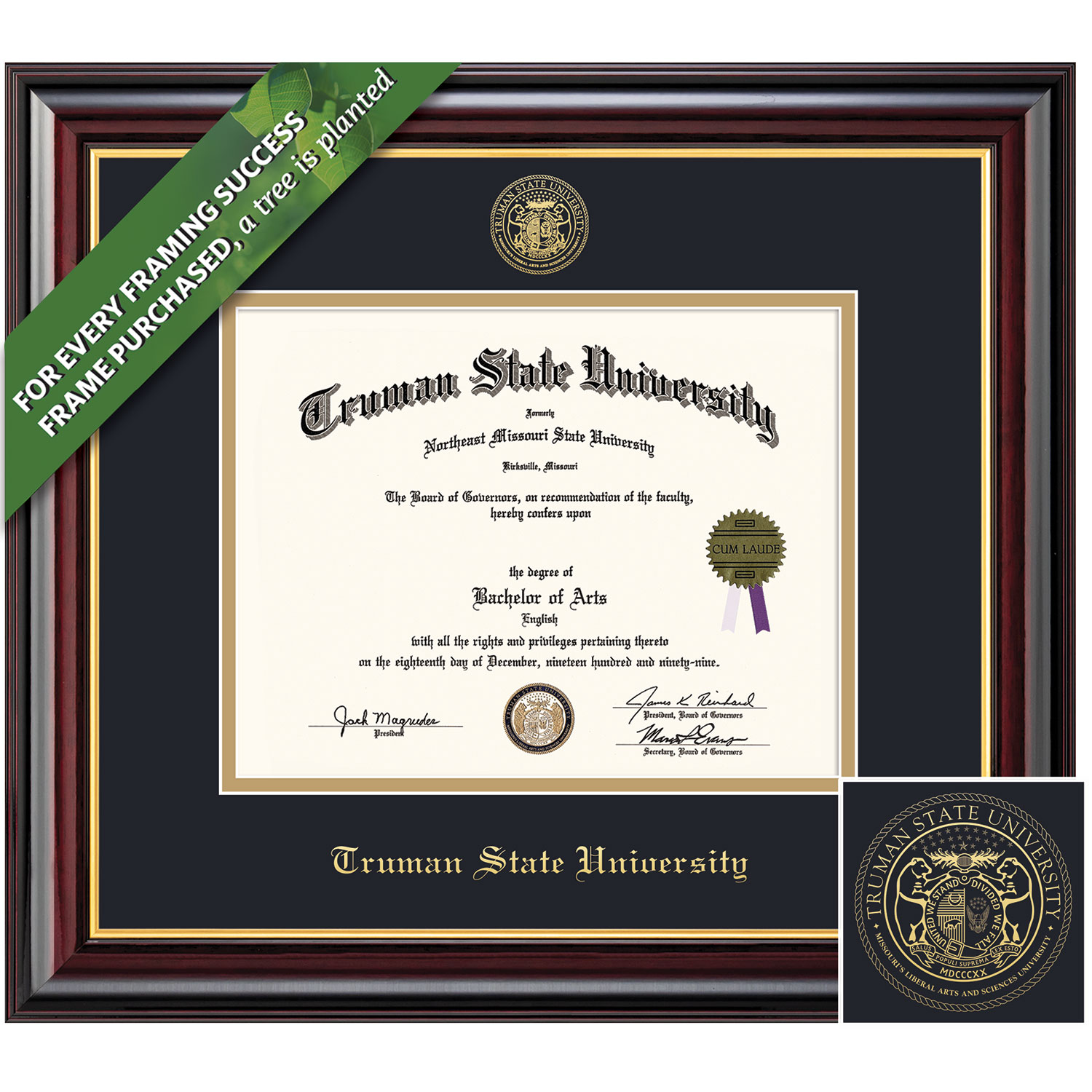 Framing Success 8.5 x 11 Windsor Gold Embossed School Seal Bachelors, Masters Diploma Frame