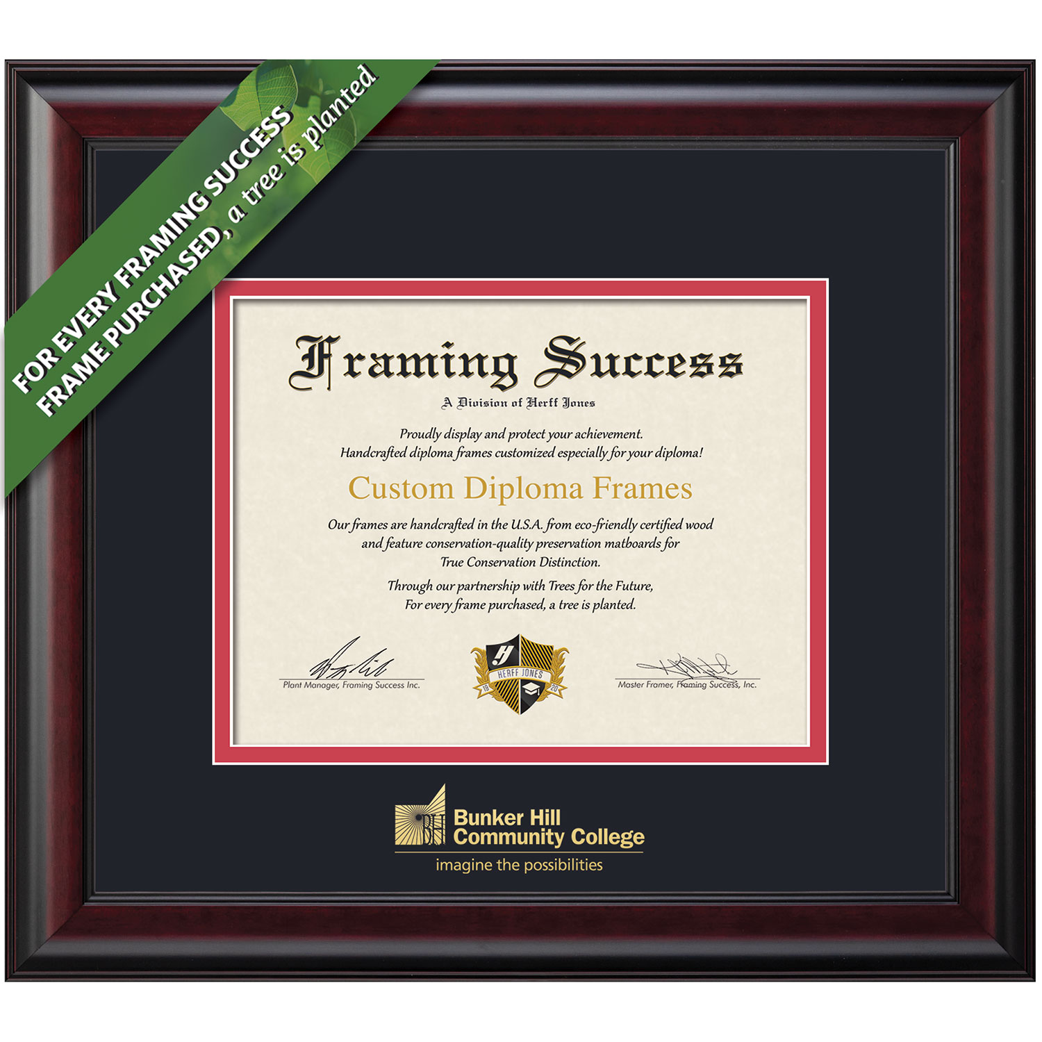 Framing Success 6 x 8 Classic Gold Embossed School Name Associates Diploma Frame