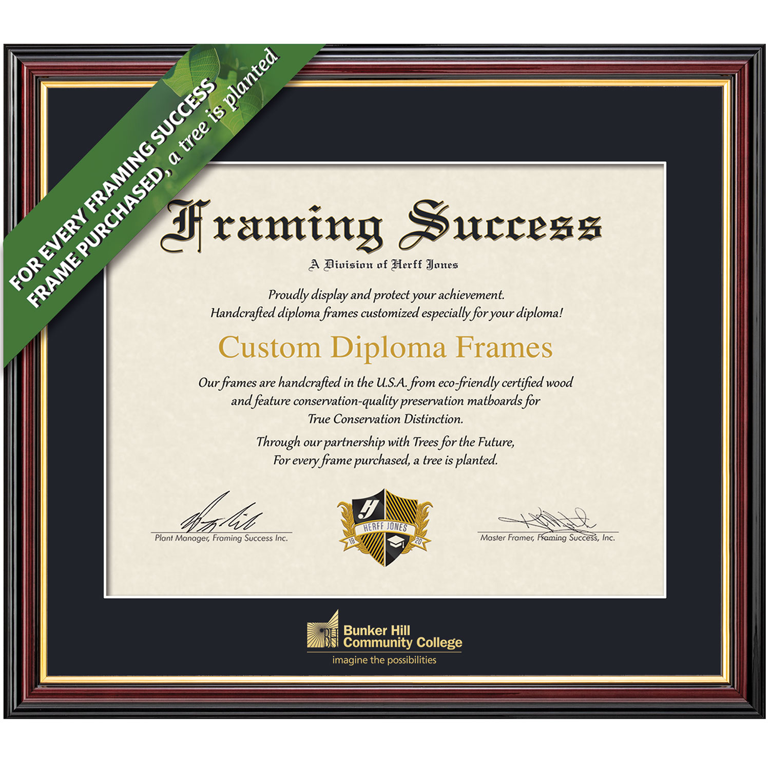 Framing Success 6 x 8 Academic Gold Embossed School Name Associates Diploma Frame