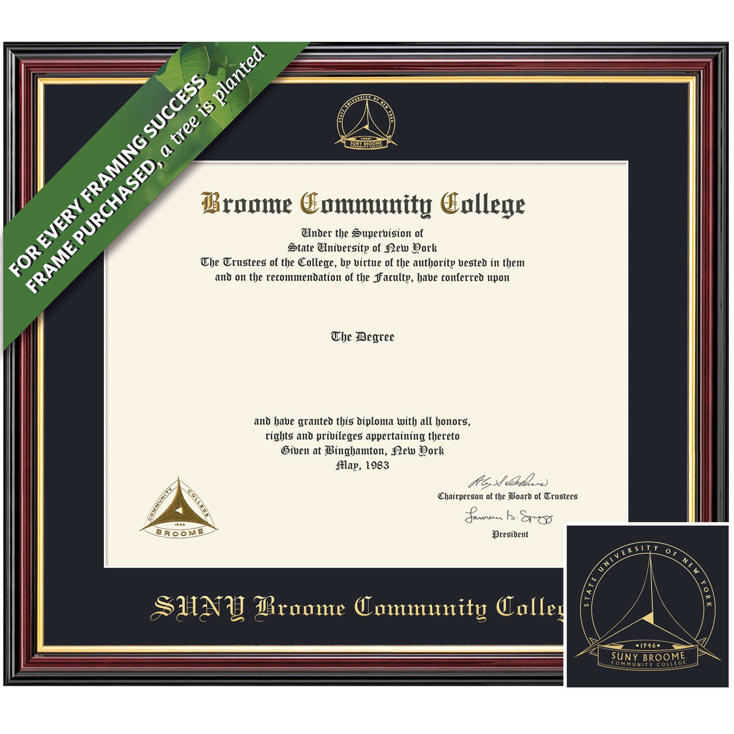 Framing Success 8.5 x 11 Academic Gold Embossed School Seal Associates Diploma Frame