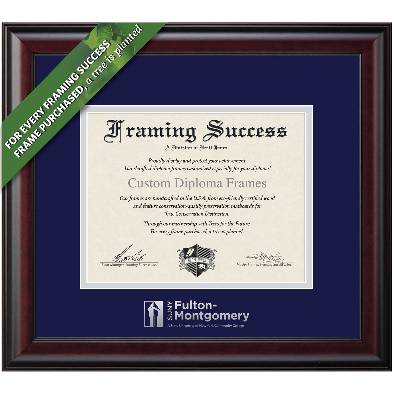 Framing Success 8 x 10 Classic Silver Embossed School Name Associates Diploma Frame
