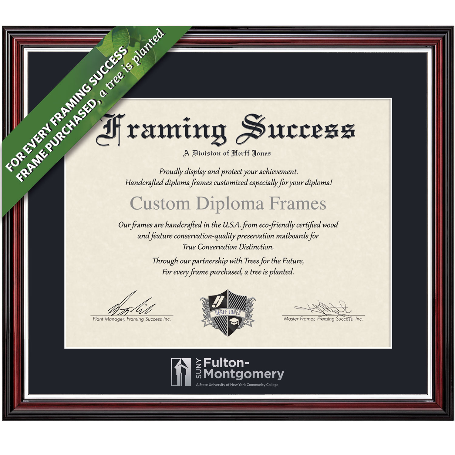 Framing Success 8 x 10 Scholastic Silver Embossed School Name Associates Diploma Frame