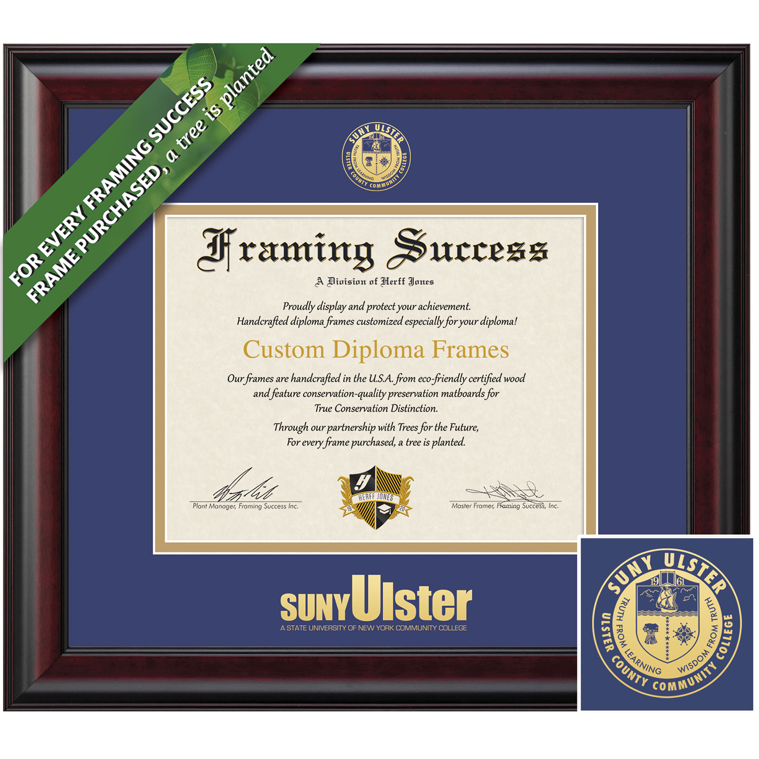 Framing Success 7 x 9 Classic Gold Embossed School Seal Associates Diploma Frame