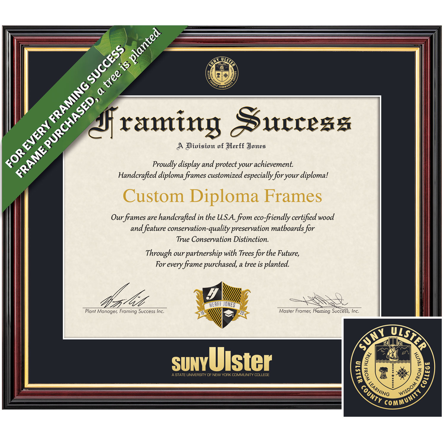 Framing Success 7 x 9 Academic Gold Embossed School Seal Associates Diploma Frame