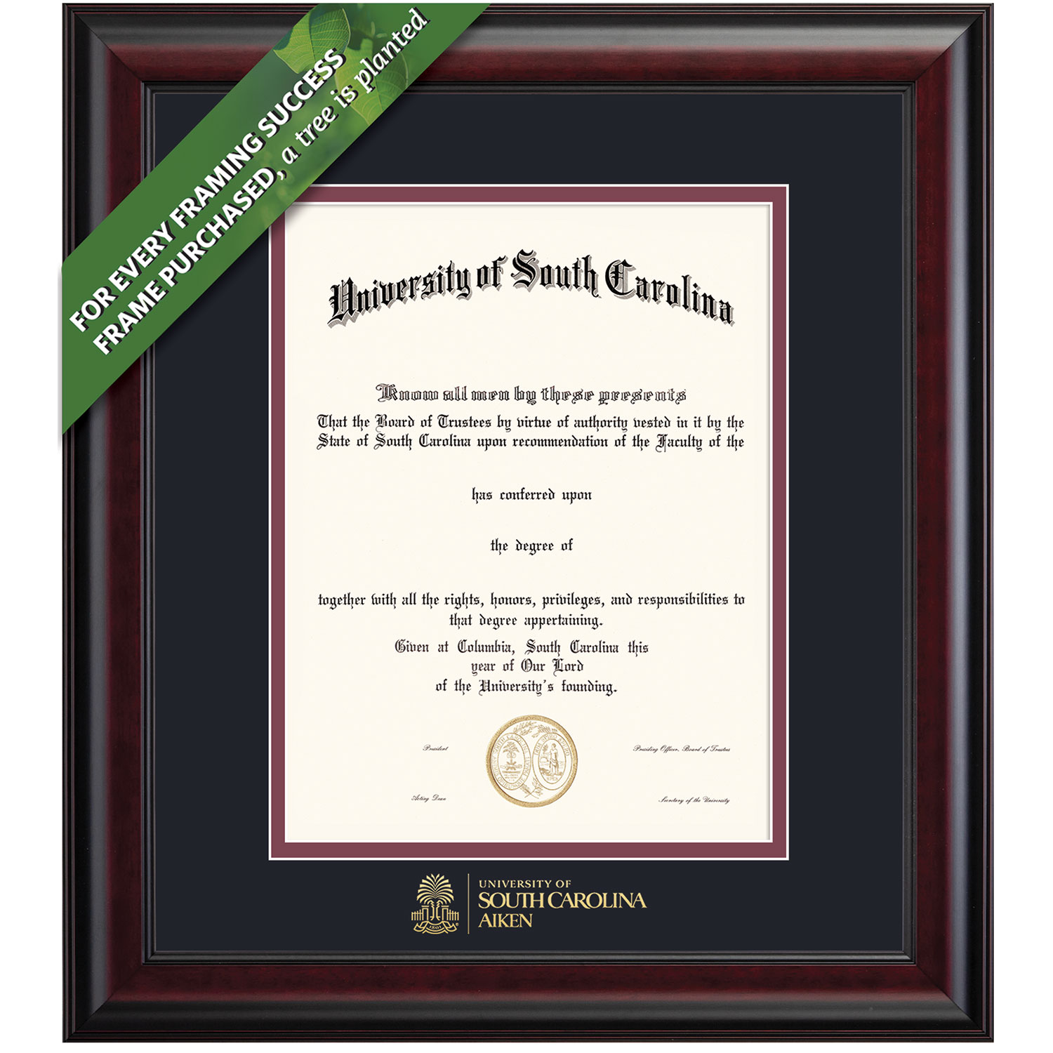 Framing Success 14 x 11 Classic Gold Embossed School Name Bachelors, Masters Diploma Frame