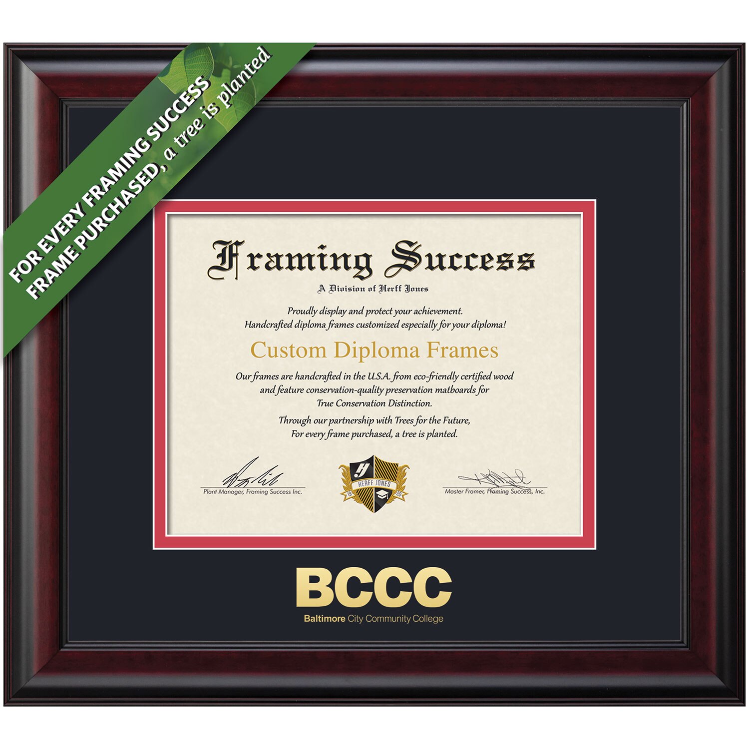 Framing Success 8.5 x 11 Classic Gold Embossed School Name Associates Diploma Frame