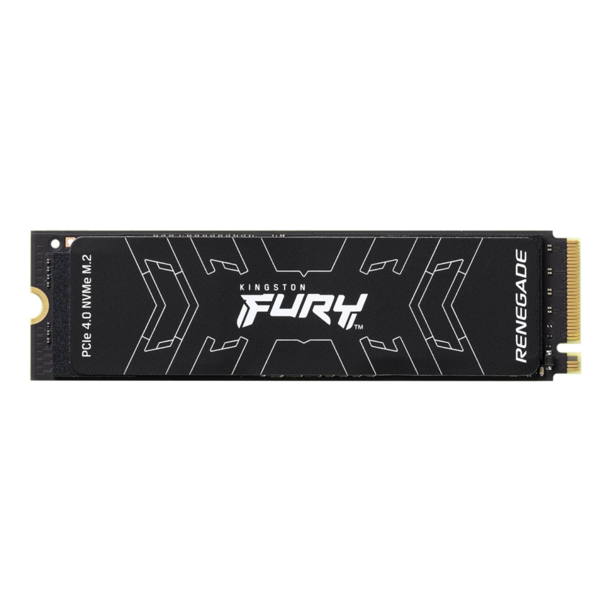 Kingston FURY Renegade 2 TB Solid State Drive