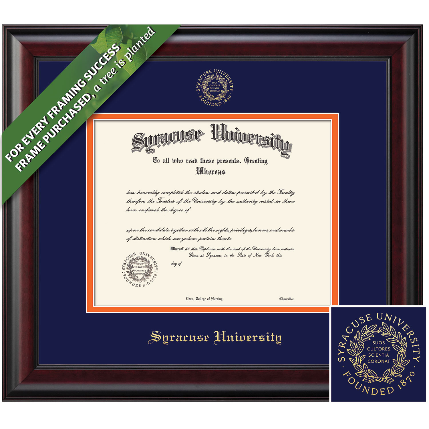 Framing Success 8.5 x 11 Classic Gold Embossed School Seal Bachelors Masters Diploma Frame