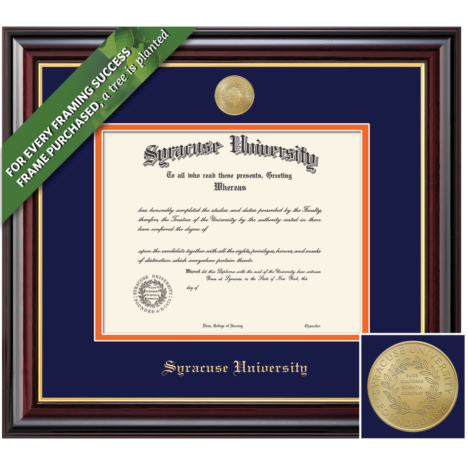 Framing Success 11 x 14 Windsor Gold Medallion Doctorate Diploma Frame