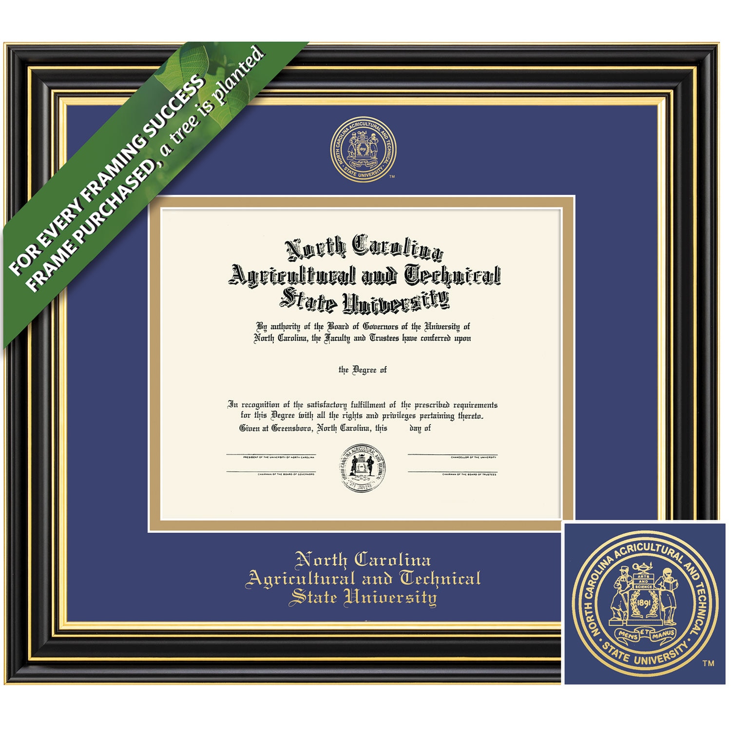 Framing Success 8.5 x 11 Prestige Gold Embossed School Seal Bachelors Masters Diploma Frame