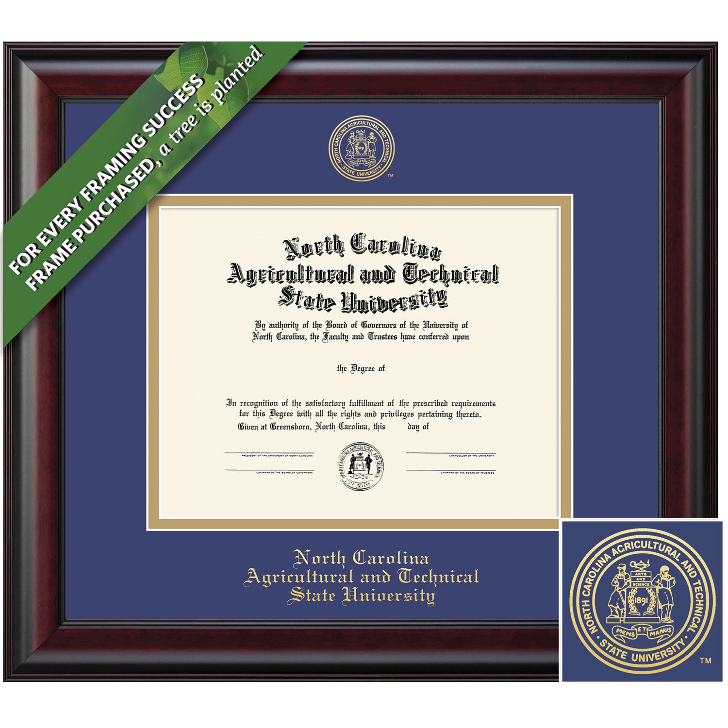 Framing Success 8.5 x 11 Classic Gold Embossed School Seal Bachelors Masters Diploma Frame