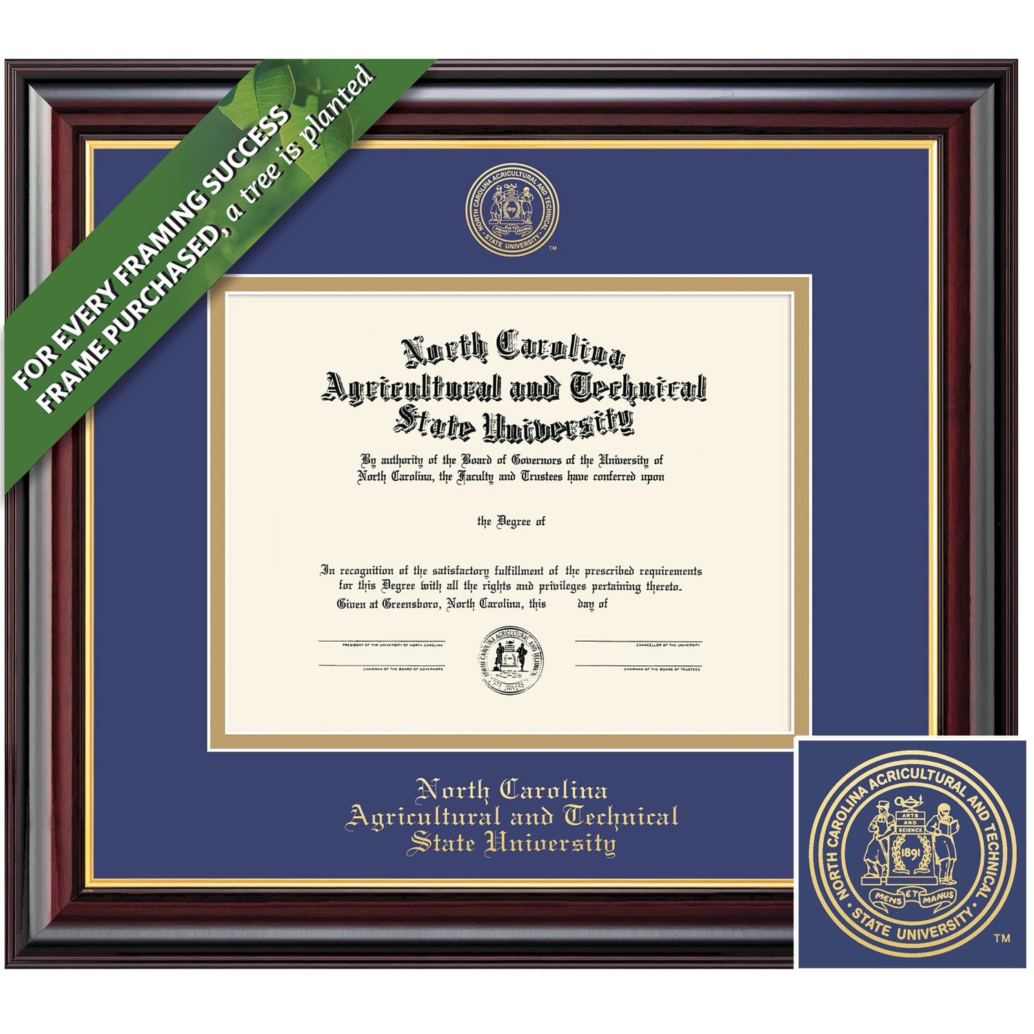 Framing Success 11 x 14 Windsor Gold Embossed School Seal PhD Diploma Frame