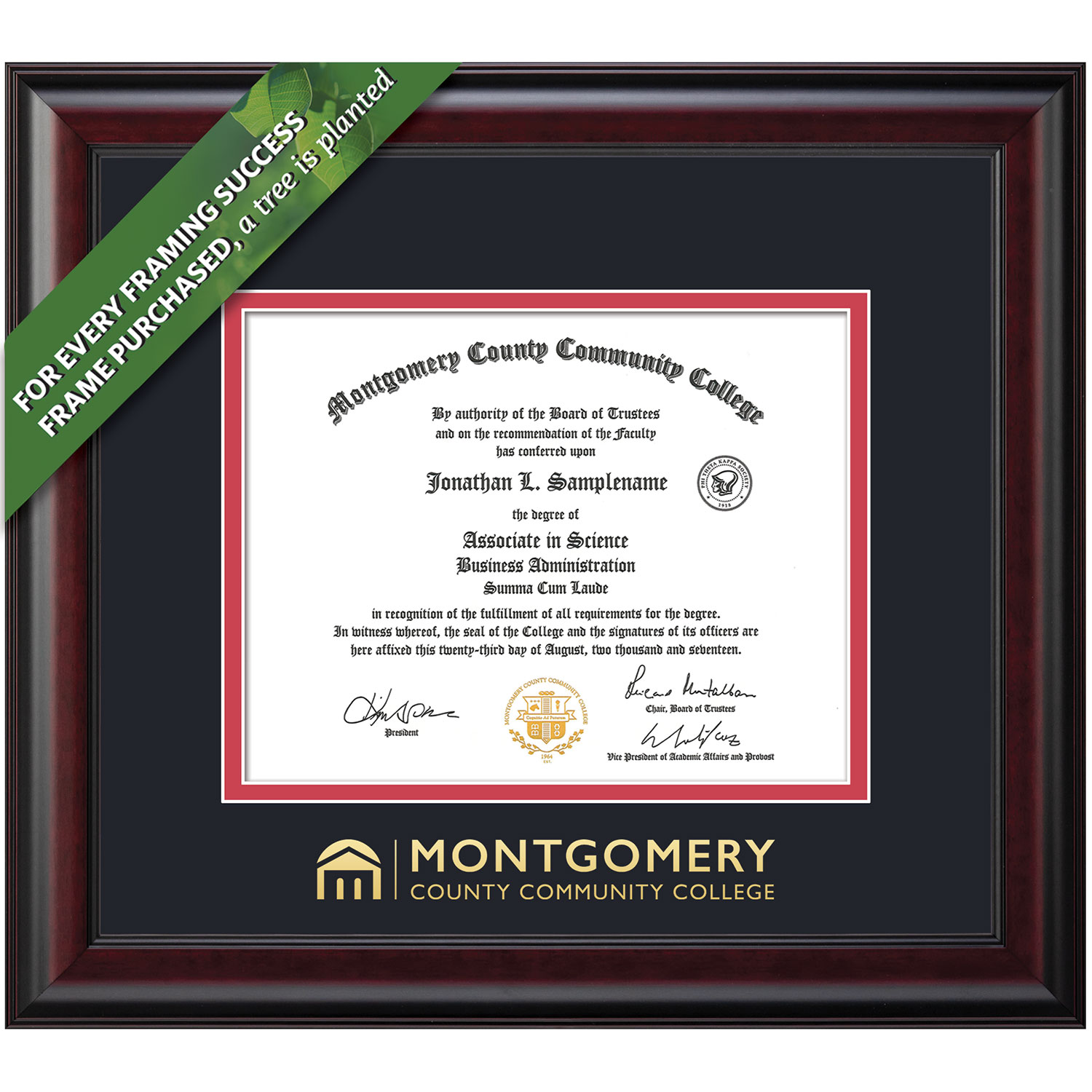 Framing Success 8.5 x 11 Classic Gold Embossed School Name Associates Diploma Frame