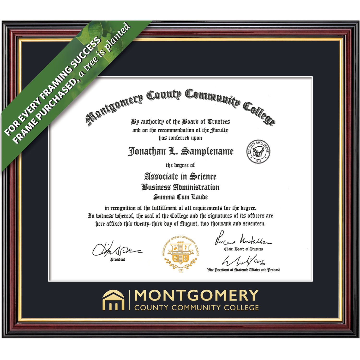 Framing Success 8.5 x 11 Academic Gold Embossed School Name Associates Diploma Frame
